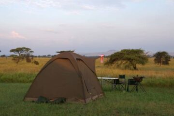 onenightcamping 3-Day Safari - Scenic Serengeti - Camping