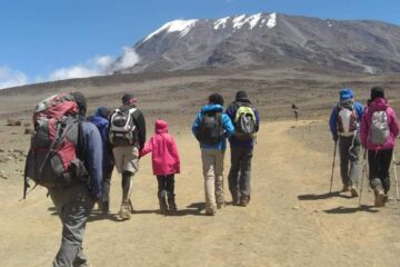 kilimanjaro hike, protea kilimanjaro adventures, protea, kilimanjaro, adventures, tanzania, tours