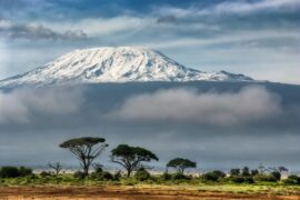 protea kilimanjaro adventures, protea, kilimanjaro, adventures, tanzania, tours, tour operator, tour, operator, hiking, experience, africa, animals, unforgettable, safaries, 8 Days, Rongai route,