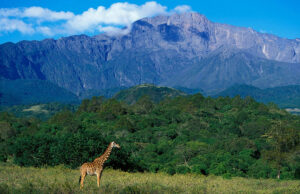 Arusha National Park