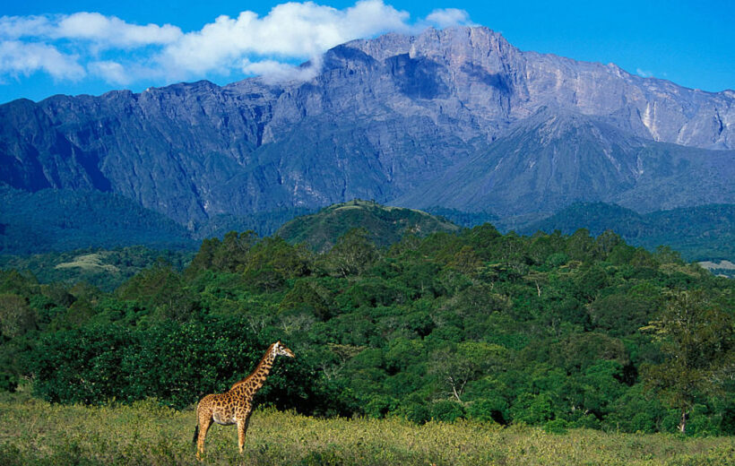 Arusha National Park