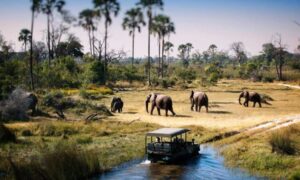 Tarangire, Ngorongoro & Lake Manyara National Park: 3 Days, 2 Nights Safari