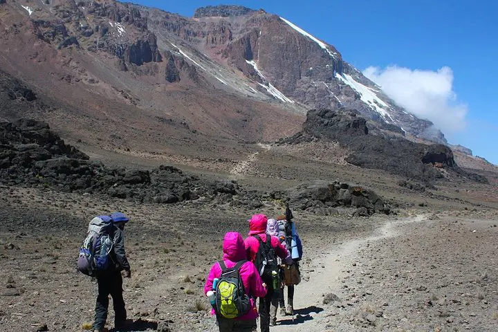 Rongai Route: A Scenic and Peaceful Kilimanjaro Trek