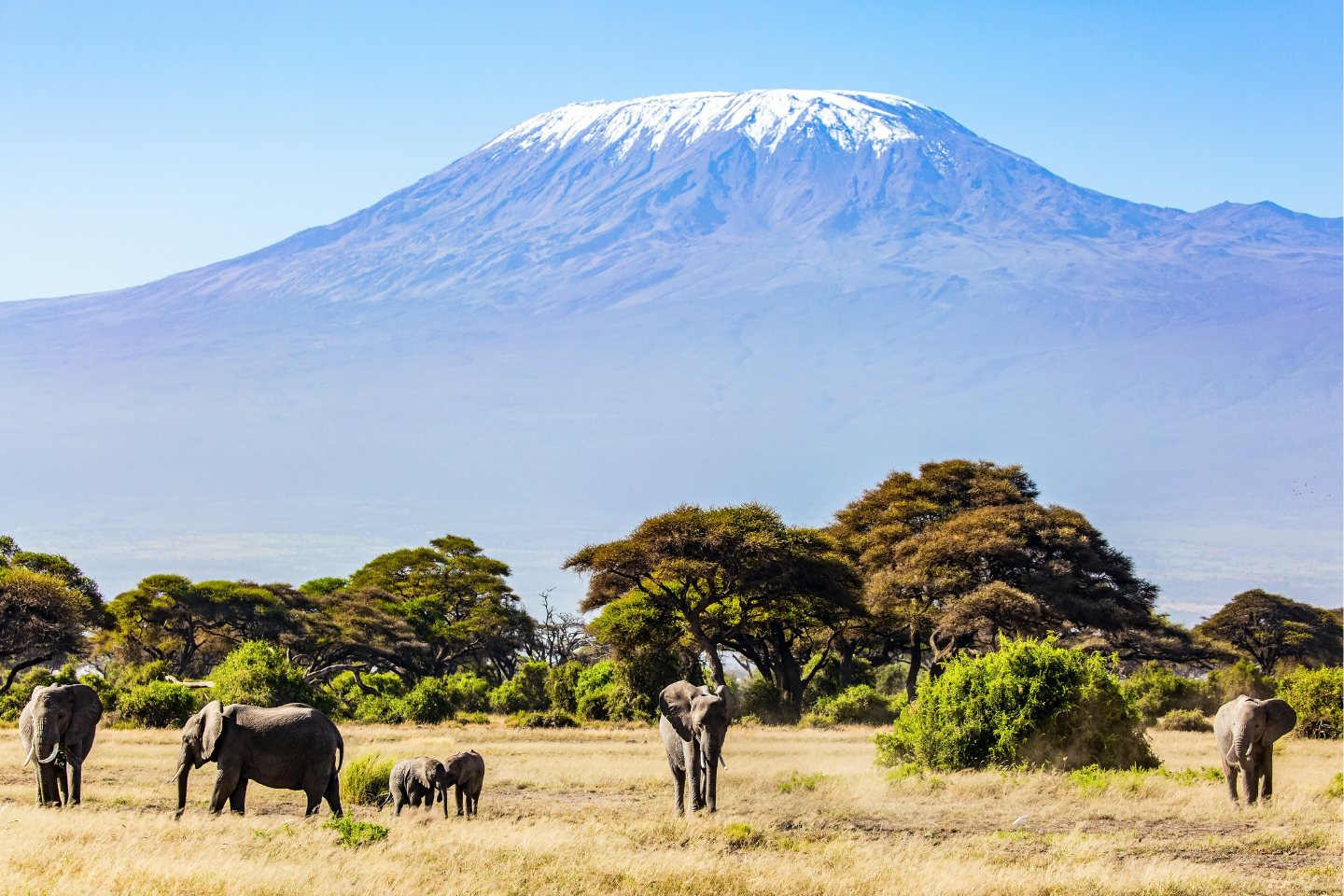 Mount kilimanjaro