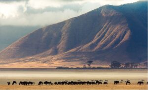 Arusha National Park, Manyara National Park & Ngorongoro Crater